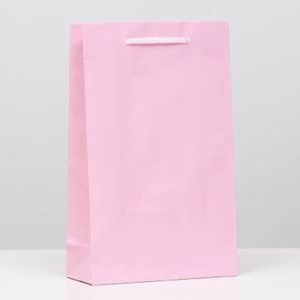 Пакет подарочный ламинированный с Ручкой, Розовый, 26,5 х 16,5 х 7 см, 1 штука