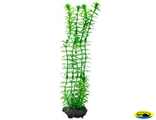 270350 Растение аквариумное Anacharis (M) 23 cм c утяжелителем