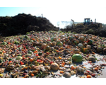 Утилизация пищевых отходов
