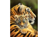 Тигрица с тигренком Ah51521 (алмазная мозаика)  mgm-mt avmn