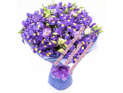 Букет Только Голубые Ирисы