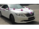 Комплект свадебных украшений на автомобиль "Фиолетовая сказка" №1 с кольцами