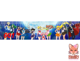 Sailor Moon/ Сейлор Мун линейка ламинированная в ассортименте