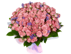 51 розовая кустовая роза со статицей