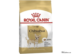 Royal Canin Chihuahua Adult Роял Канин Чихуахуа Эдалт корм для собак взрослых собак породы чихуахуа, 3 кг