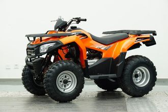 Утилитарный квадроцикл Baggio Dominator 200