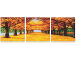 Триптих по номерам (холст) 50х50х3 "Осень в городе". Марка: "PaintBoy" (КНР). Артикул: P038