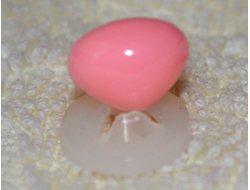 Нос гладкий розовый, 8 мм, НГ 07
