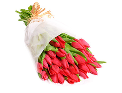 Красные Тюльпаны букет Страсть