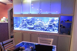 Обслуживание аквариумов с морской водой
