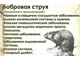 Бобровая струя 0,5 мл