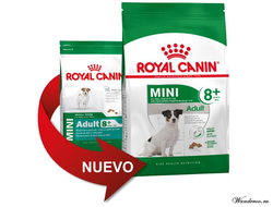 Royal Canin Mini Adult +8 Роял Канин Мини Эдалт корм для взрослых собак мини пород старше 8 лет, 4 кг