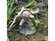 Фигурка Renekton (Ренектон)
