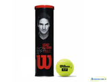 Теннисные мячи Wilson Roger Federer Legacy All Court x4