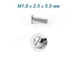 Винт М1.6*2.5*5.5 мм общего назначения серебро (100шт)