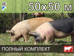 Электропастух СТАТИК-3М для свиней 50x50 метров - Удержит даже самого проворного поросенка!
