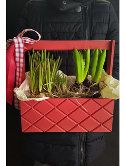 Ящик с цветами, луковицы цветов купить, необычный подарок, подарки к 8 марта, подарок маме