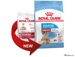 Royal Canin Medium Starter Роял Канин Медиум Стартер корм для щенков средних пород в период отъема и до 2 месяцев, 12 кг
