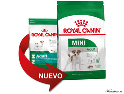 Royal Canin Mini Adult Роял Канин Мини Эдалт корм для взрослых собак мини пород, 4 кг