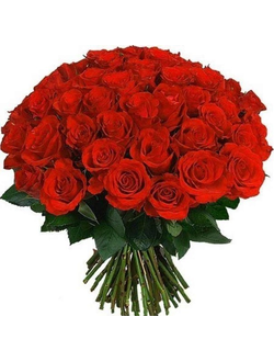 Букет из 51 красной розы ( 60см )