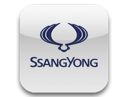 SSANG YONG