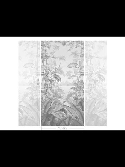 FA2002. Тропический сюжет