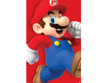 Постер Maxi Pyramid: Nintendo: Super Mario (Run)