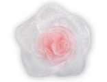 Нарцисс бело-розовый, 5*5 см.