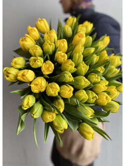 Желтые тюльпаны, 49 тюльпанов, купить тюльпаны, купить букет москва, тюльпаны цена, купить цветы