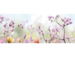 МДФ 094 Весенние цветы
