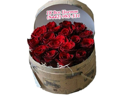25 бордовых роз в стильной шляпной коробке