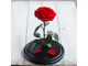 Стабилизированная роза в колбе Lerosh - Premium 33 см, Светло Красная