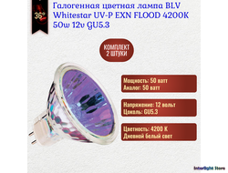 BLV WhiteStar UV-P EXN  4200K Flood 50w 36° 12v GU5.3