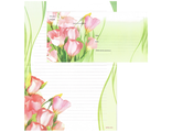 NPDL-013	Набор для письма &quot;Полевые цветы&quot;