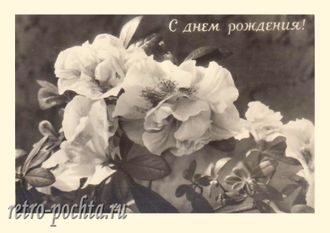 7013 ЛФК фото Р Мазелева 1955 г