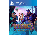 Trine 3: The Artifacts of Power (цифр версия PS4 напрокат) RUS 1-3 игрока