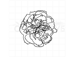 Штамп цветок гвоздики махровой