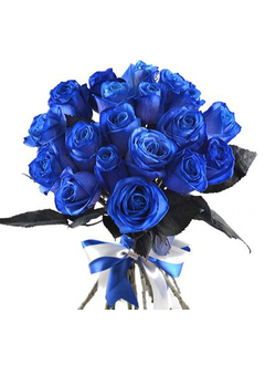 Натуральные Синие розы 70 см от 19 шт.