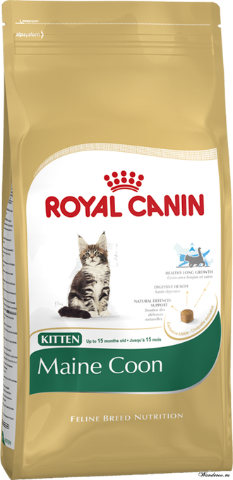 Royal Canin  Kitten Maine Coon Роял Канин Киттен Мейн Кун Корм для котят породы мейн кун 2 кг