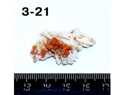 Ванадинит натуральный (щетка) №3-21: 38*36*14мм