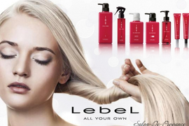 АБСОЛЮТНОЕ СЧАСТЬЕ ДЛЯ ВОЛОС &quot;LEBEL&quot;