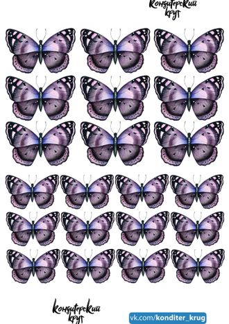 Бабочки - 27