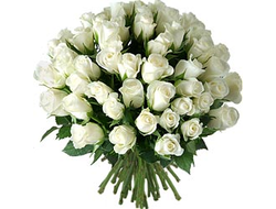 51 роза белая букет Королевский