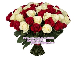 31 роза красная-белая букет Нежность и Страсть