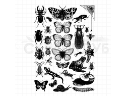Набор штампов с насекомыми и бабочками на все случаи жизни