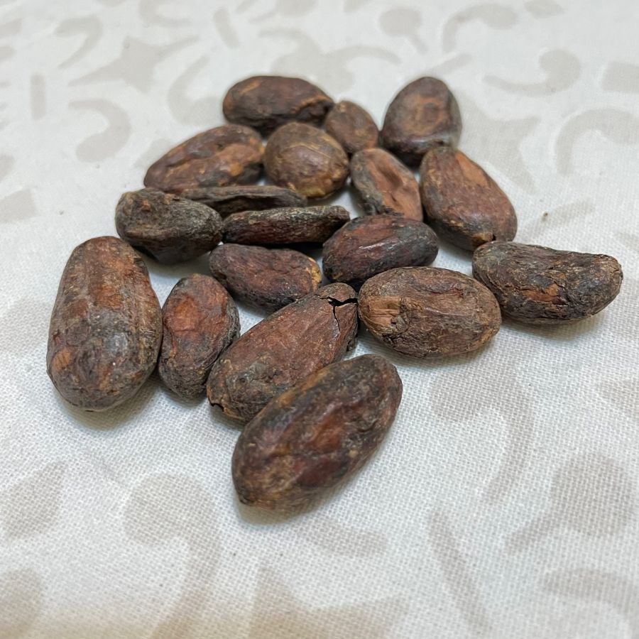 Небольшая дегустация какао-бобов