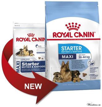 Royal canin maxi starter discount