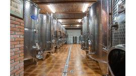 Винодельня «Шато Пино» для производства вин премиального сегмента
