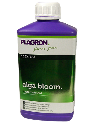 Plagron Alga Bloom 1l