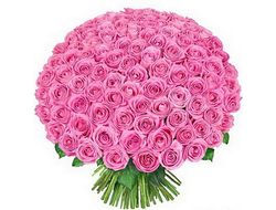 101 розовая роза